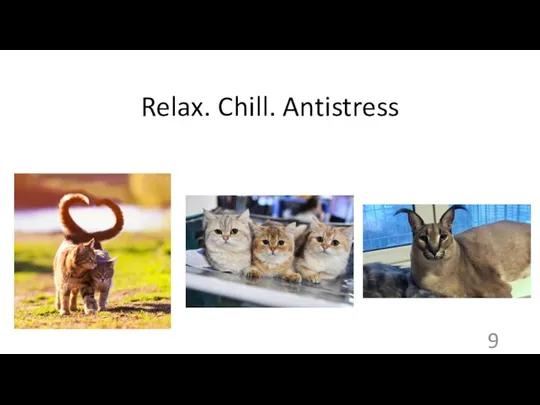 Relax. Chill. Antistress