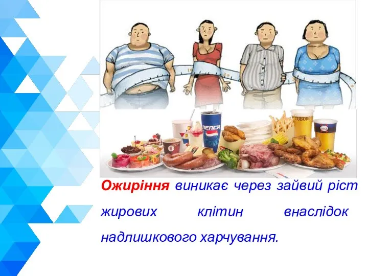 Ожиріння виникає через зайвий ріст жирових клітин внаслідок надлишкового харчування.