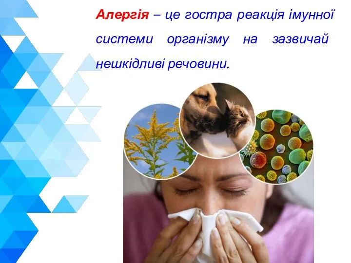 Алергія – це гостра реакція імунної системи організму на зазвичай нешкідливі речовини.