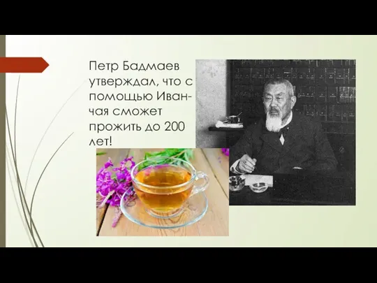 Петр Бадмаев утверждал, что с помощью Иван-чая сможет прожить до 200 лет!