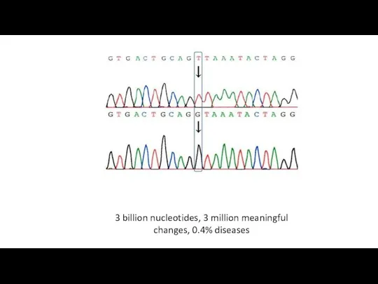 3 billion nucleotides, 3 million meaningful changes, 0.4% diseases