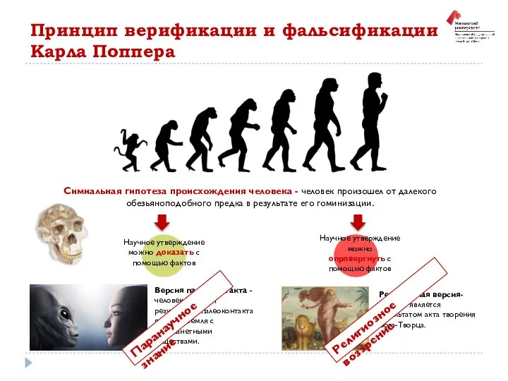 Принцип верификации и фальсификации Карла Поппера Симиальная гипотеза происхождения человека - человек