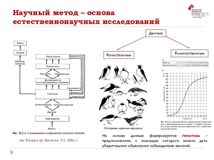 Научный метод – основа естественнонаучных исследований (по Тейлор и др. Биология, Т.3,