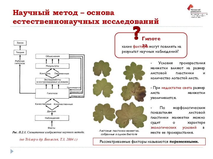 (по Тейлор и др. Биология, Т.3, 2004 г.) Гипотеза какие факторы могут