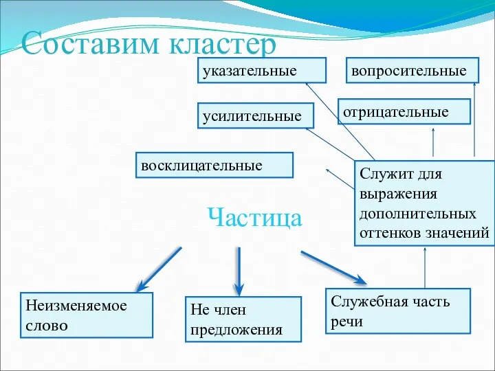 Составим кластер Частица Не член предложения Неизменяемое слово Служебная часть речи Служит