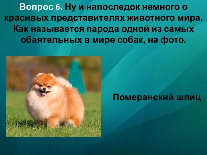 Вопрос 6. Ну и напоследок немного о красивых представителях животного мира. Как