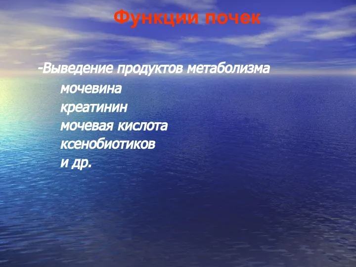 Функции почек Выведение продуктов метаболизма мочевина креатинин мочевая кислота ксенобиотиков и др.