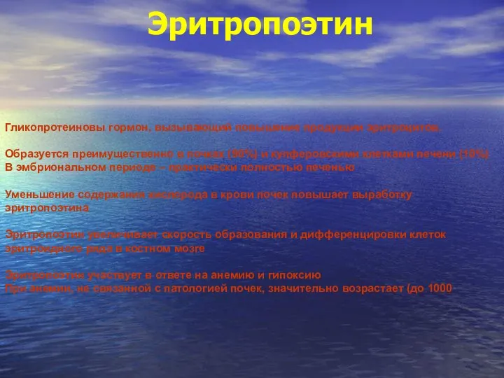 Эритропоэтин Гликопротеиновы гормон, вызывающий повышение продукции эритроцитов. Образуется преимущественно в почках (90%)