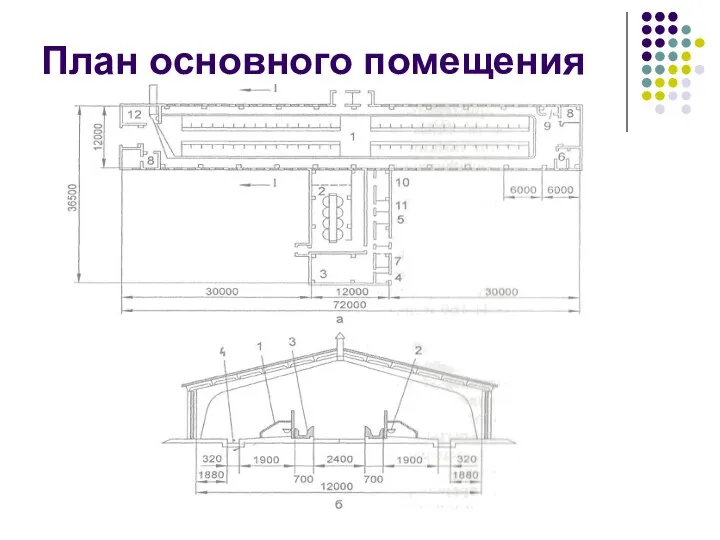 План основного помещения