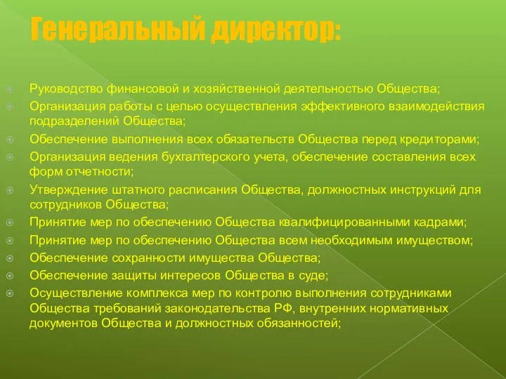 Генеральный директор: Руководство финансовой и хозяйственной деятельностью Общества; Организация работы с целью