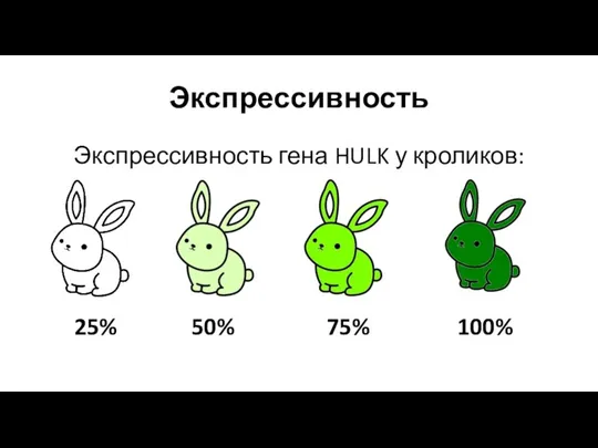 Экспрессивность Экспрессивность гена HULK у кроликов: 25% 50% 75% 100%