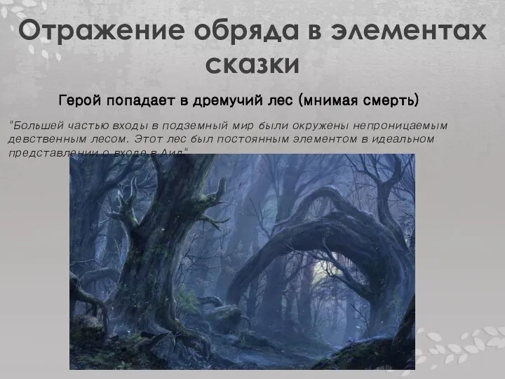 Отражение обряда в элементах сказки Герой попадает в дремучий лес (мнимая смерть)