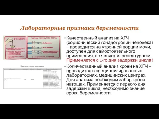 Качественный анализ на ХГЧ (хорионический гонадотропин человека) – проводится на утренней порции