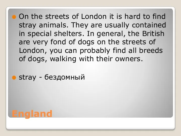 England On the streets of London it is hard to find stray