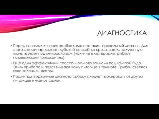 ДИАГНОСТИКА: Перед началом лечения необходимо поставить правильный диагноз. Для этого ветеринар делает