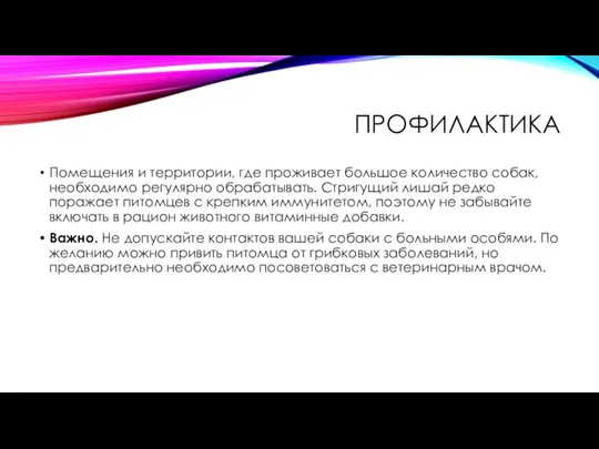 ПРОФИЛАКТИКА Помещения и территории, где проживает большое количество собак, необходимо регулярно обрабатывать.