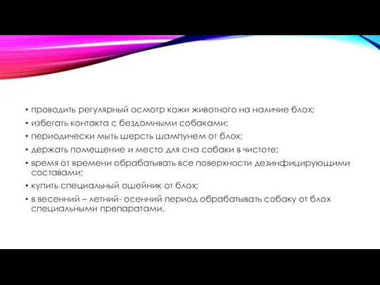 проводить регулярный осмотр кожи животного на наличие блох; избегать контакта с бездомными