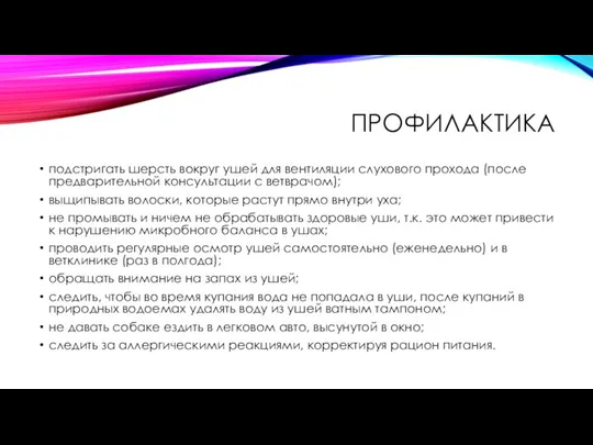 ПРОФИЛАКТИКА подстригать шерсть вокруг ушей для вентиляции слухового прохода (после предварительной консультации