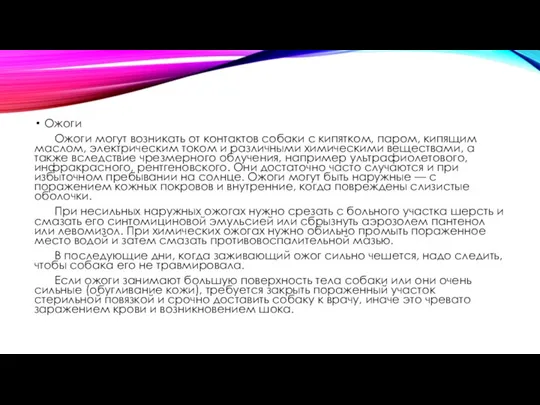 Ожоги Ожоги могут возникать от контактов собаки с кипятком, паром, кипящим маслом,