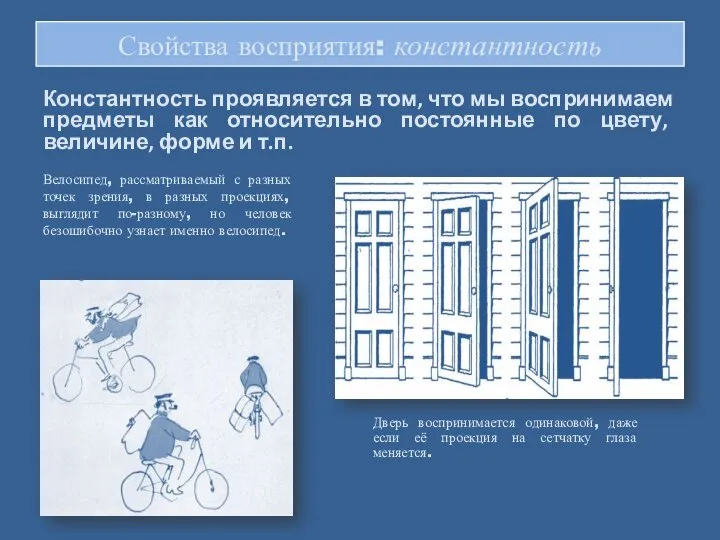 Свойства восприятия: константность Константность проявляется в том, что мы воспринимаем предметы как