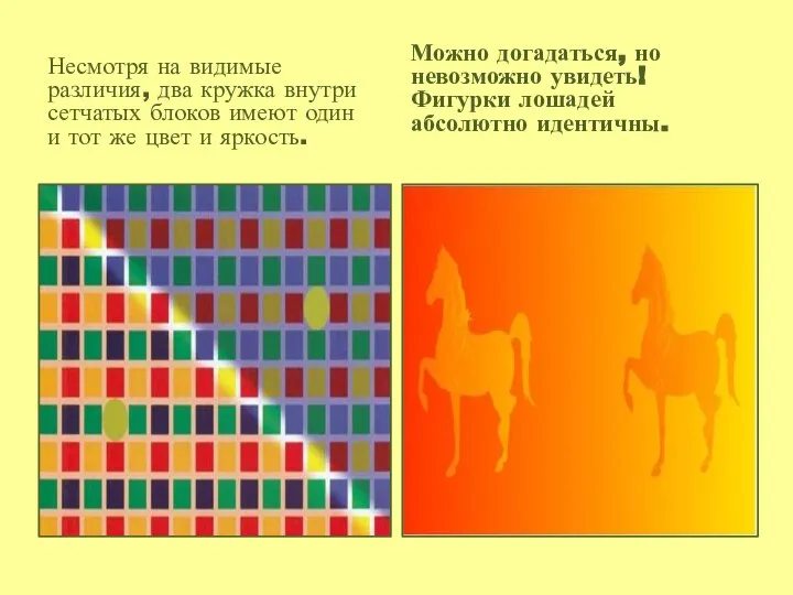 Несмотря на видимые различия, два кружка внутри сетчатых блоков имеют один и