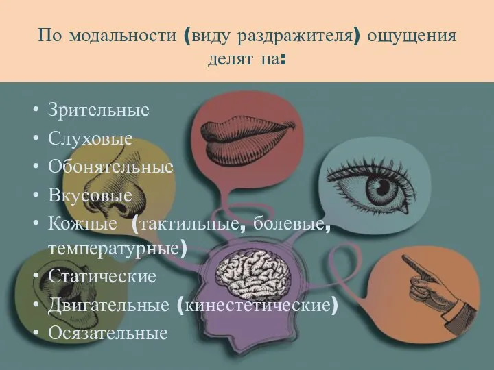 По модальности (виду раздражителя) ощущения делят на: Зрительные Слуховые Обонятельные Вкусовые Кожные