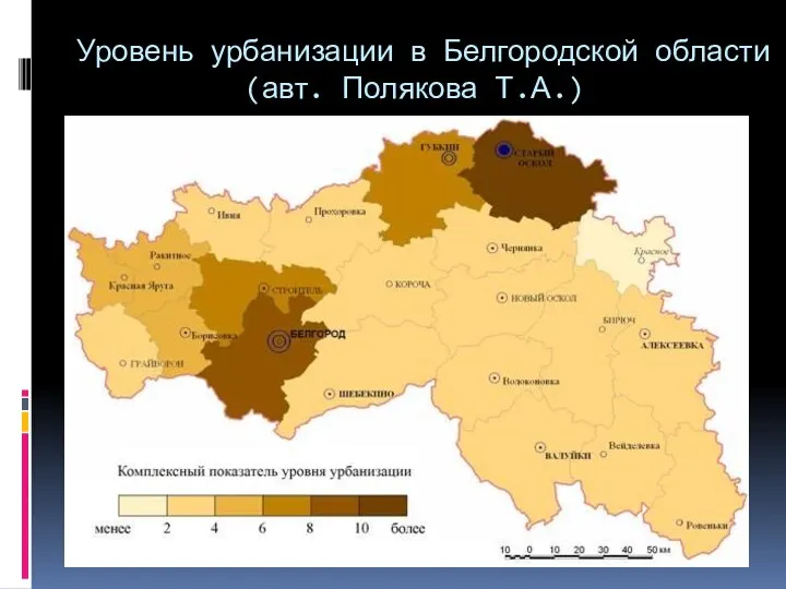 Уровень урбанизации в Белгородской области (авт. Полякова Т.А.)