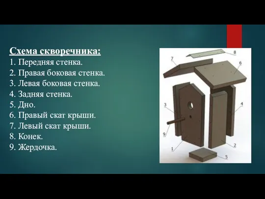 Схема скворечника: 1. Передняя стенка. 2. Правая боковая стенка. 3. Левая боковая