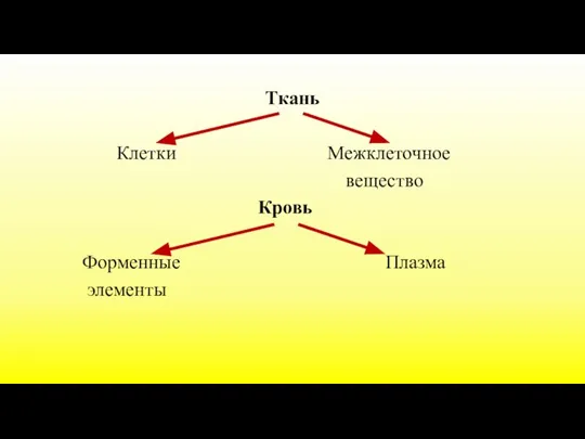 Ткань Клетки Межклеточное вещество Кровь Форменные Плазма элементы