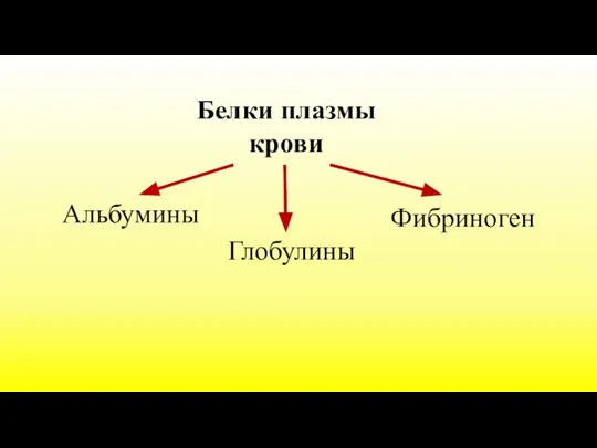 Белки плазмы крови Альбумины Глобулины Фибриноген