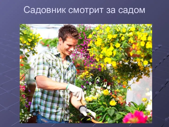 Садовник смотрит за садом