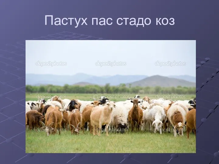 Пастух пас стадо коз