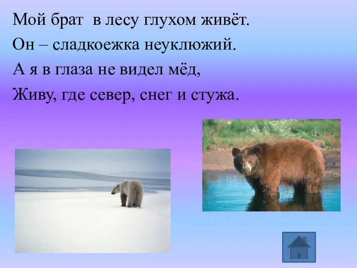 Мой брат в лесу глухом живёт. Он – сладкоежка неуклюжий. А я