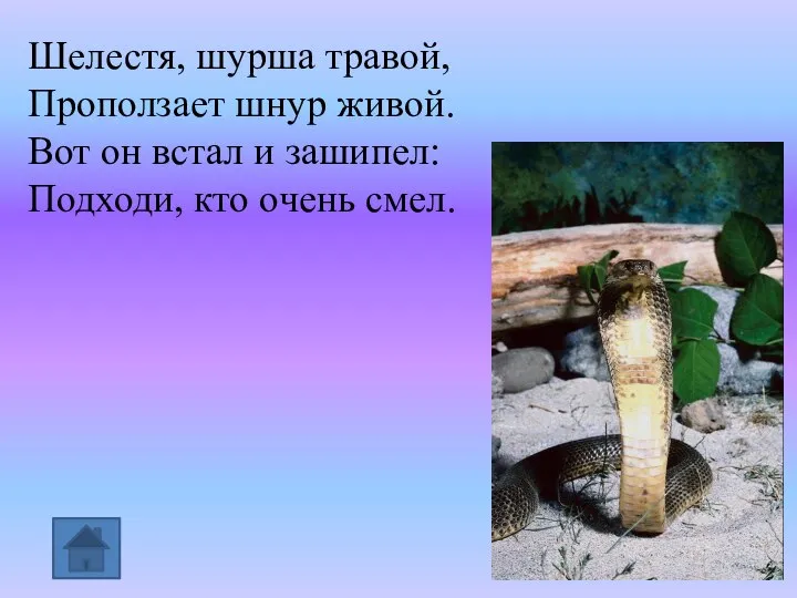 Шелестя, шурша травой, Проползает шнур живой. Вот он встал и зашипел: Подходи, кто очень смел.