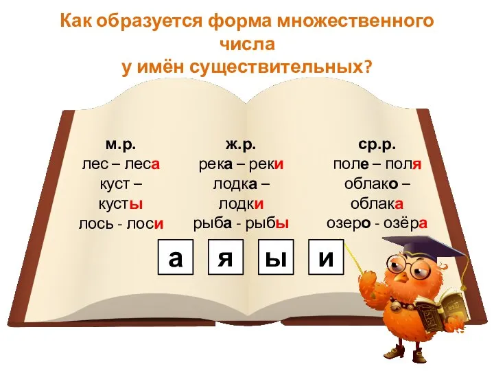 Как образуется форма множественного числа у имён существительных? м.р. лес – леса