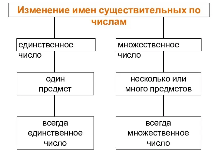 Изменение имен существительных по числам единственное число множественное число один предмет несколько