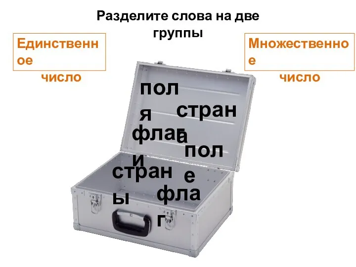 флаг флаги страна страны поле поля Разделите слова на две группы Множественное число Единственное число