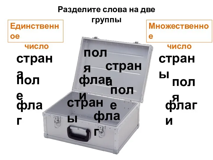 флаг флаги страна страны поле поля Разделите слова на две группы Множественное