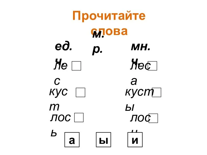 Прочитайте слова лес куст лось м.р. ед.ч. лоси кусты леса мн.ч. а ы и