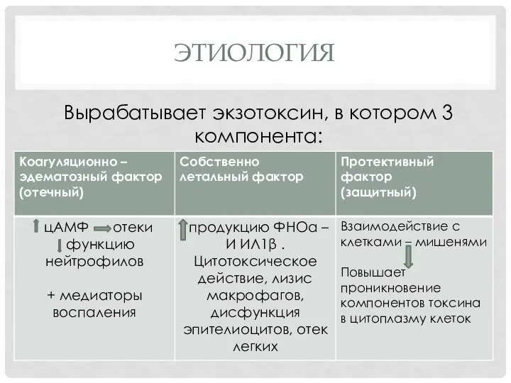 ЭТИОЛОГИЯ Вырабатывает экзотоксин, в котором 3 компонента: