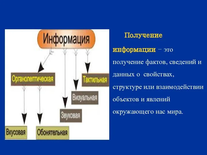 Получение информации – это получение фактов, сведений и данных о свойствах, структуре