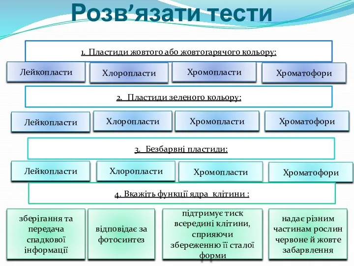 Розв’язати тести 1. Пластиди жовтого або жовтогарячого кольору: Лейкопласти Хроматофори Хромопласти Хлоропласти