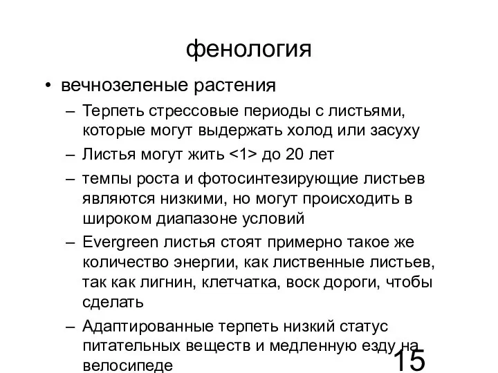 фенология вечнозеленые растения Терпеть стрессовые периоды с листьями, которые могут выдержать холод