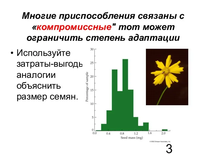 Многие приспособления связаны с «компромиссные" тот может ограничить степень адаптации Используйте затраты-выгоды аналогии объяснить размер семян.