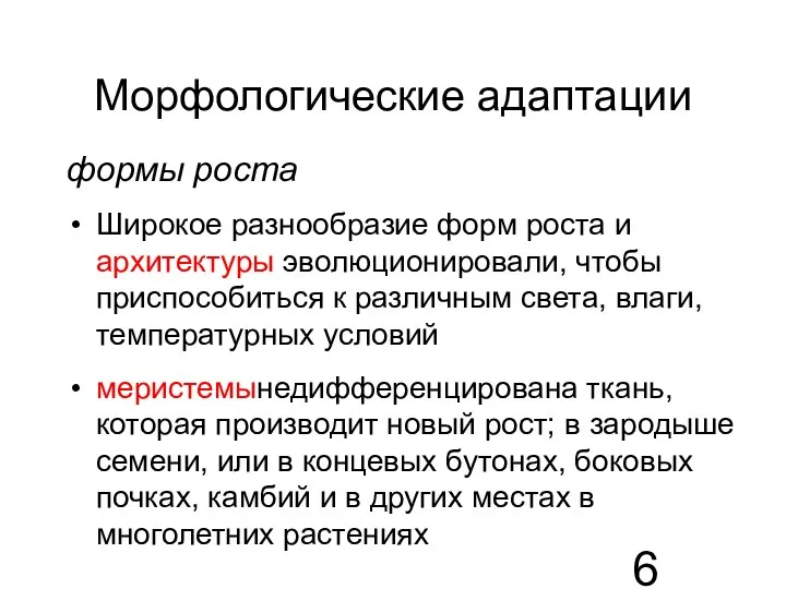 Морфологические адаптации формы роста Широкое разнообразие форм роста и архитектуры эволюционировали, чтобы