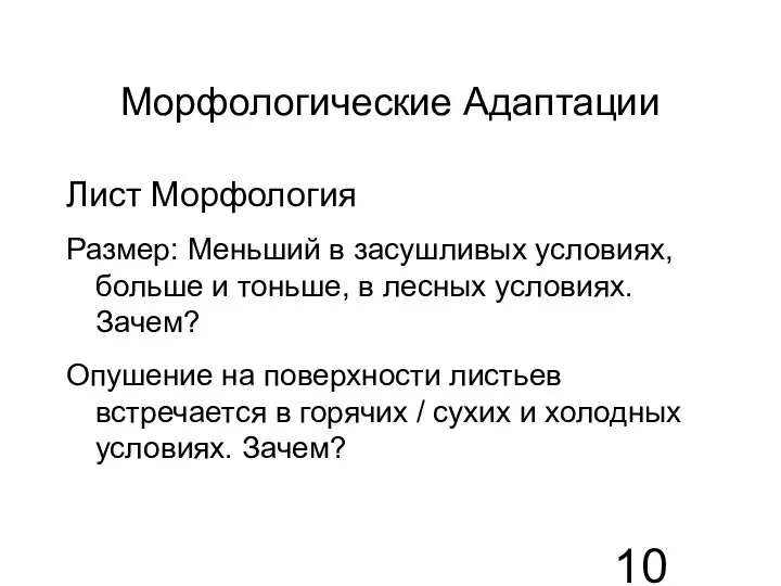 Морфологические Адаптации Лист Морфология Размер: Меньший в засушливых условиях, больше и тоньше,