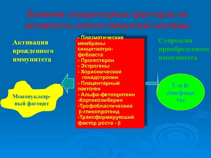 Влияние плацентарных факторов на активность клеток иммунной системы - Плазматические мембраны синцитиотро-