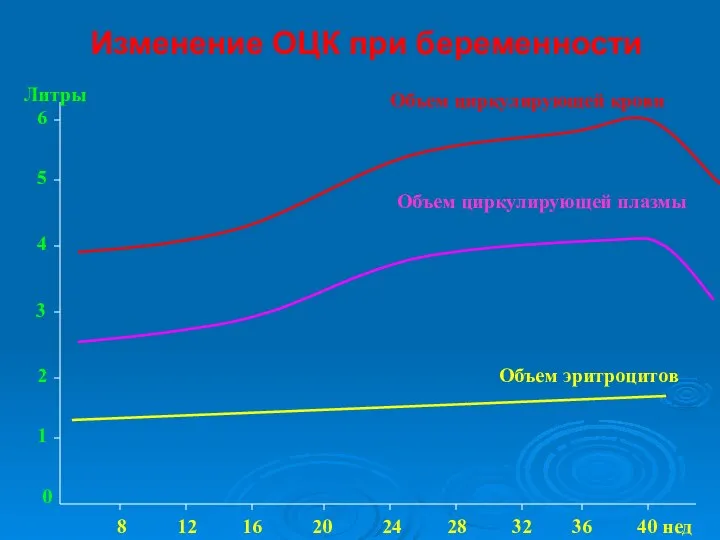 Изменение ОЦК при беременности Объем циркулирующей плазмы Объем эритроцитов 8 12 16