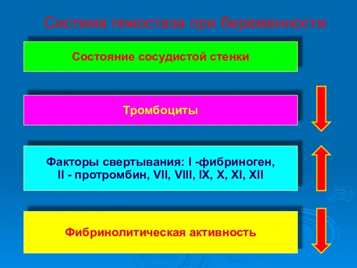 Система гемостаза при беременности Фибринолитическая активность Факторы свертывания: I -фибриноген, II -