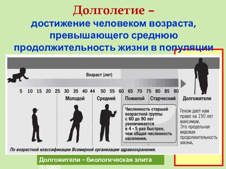 Долголетие – достижение человеком возраста, превышающего среднюю продолжительность жизни в популяции Долгожители – биологическая элита (1:5000)